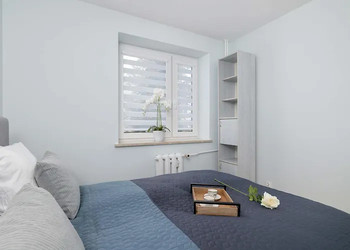 Spacious With 3 Bedrooms And Balcony In By Renters *